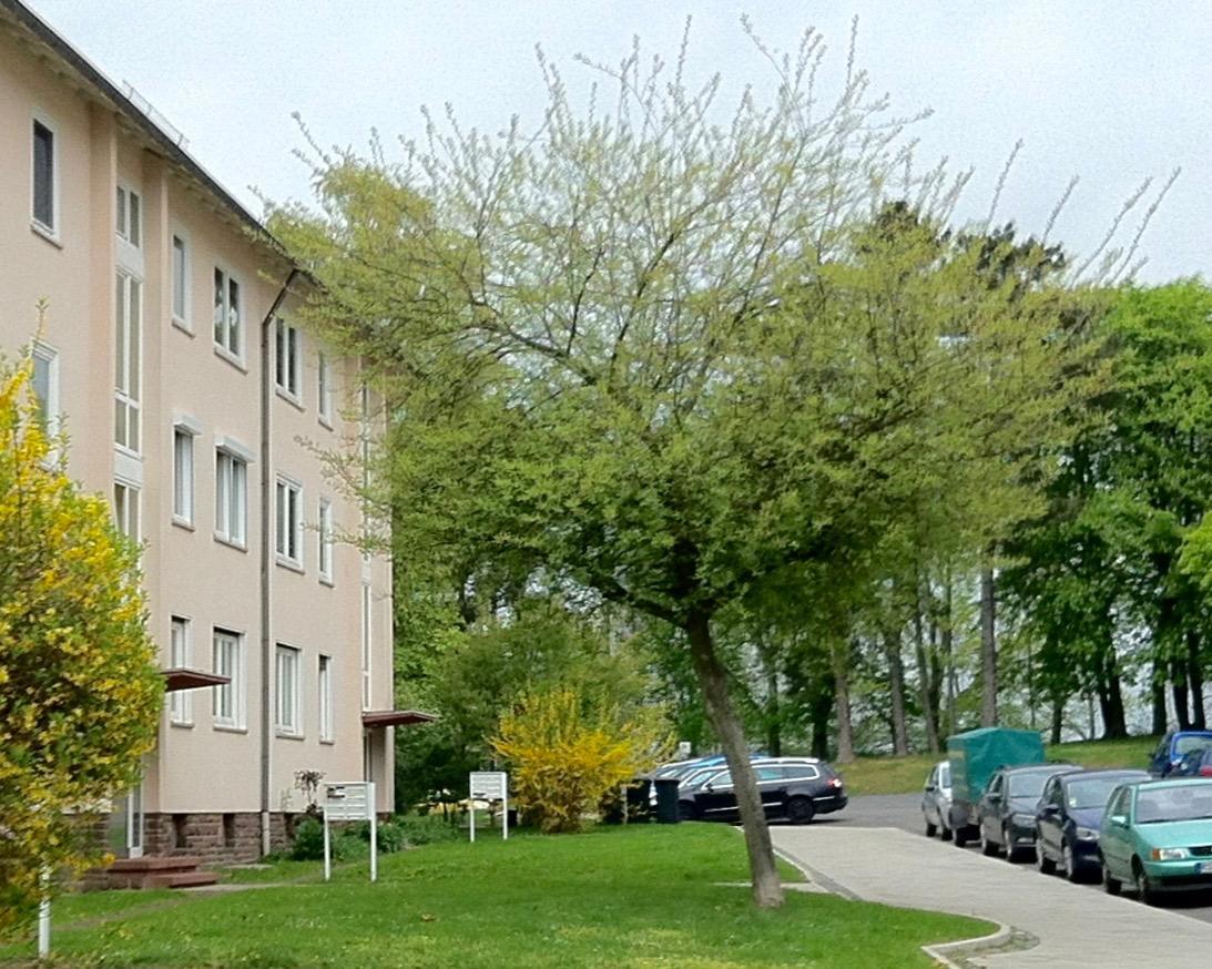 Ask Rooms Privatzimmer In Кассель Екстер'єр фото